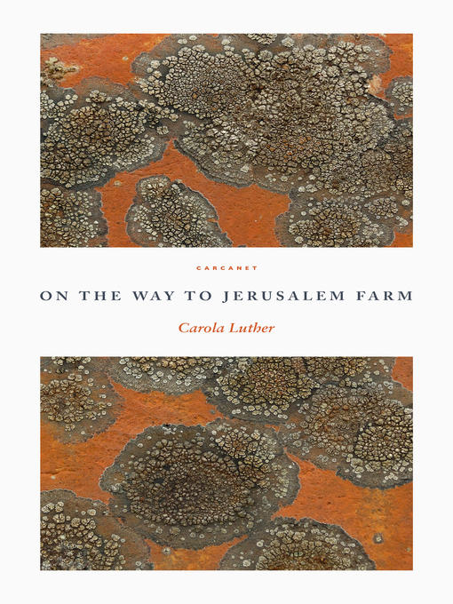 Title details for On the Way to Jerusalem Farm by Carola Luther - Available